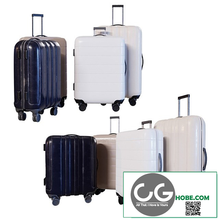 Luggage Set
