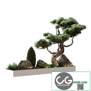 Decor with pine
