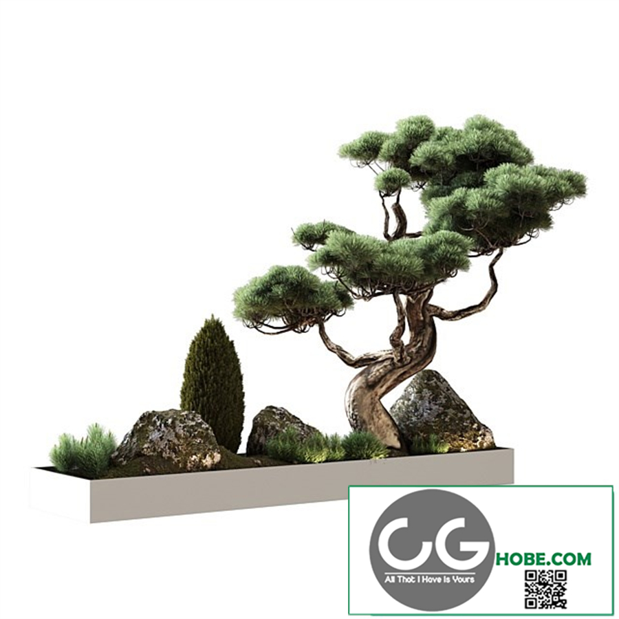 Decor with pine
