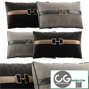 Decorative Pillow # 6