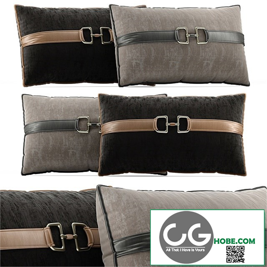 Decorative Pillow # 6