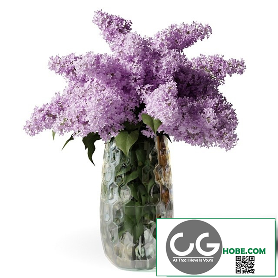 Bouquet of lilacs in a modern tall vase