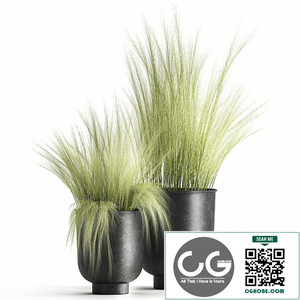 Collection of plants in black metal pots with bush grass grass. Set 1004.