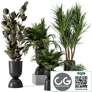 Indoor Plants in Ferm Living Bau Pot Large - Set 226