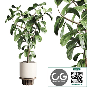Indoor outdoor plant 106 wood vase pot ficus rubbery