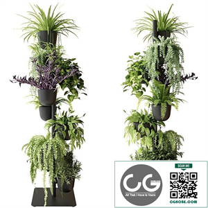 Rack with indoor plants in pots
