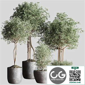 Indoor Plant Set12
