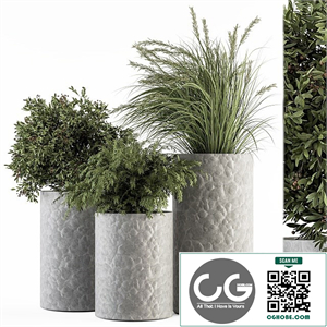 Outdoor Plant Set 292 - Plant Set in Concrete Pot