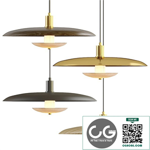 Lampatron Reason pendant lamp