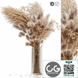 Dry flowers in modern vase 3
