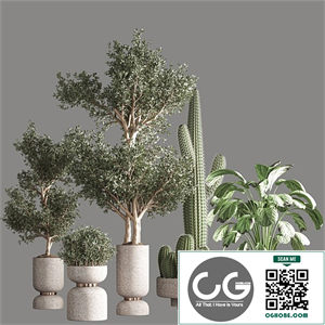 indoor plant set 26
