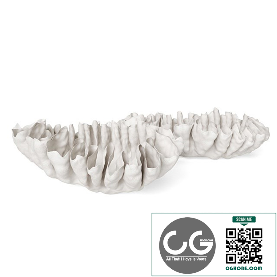 Svetlana Levadnaja Shell Vase