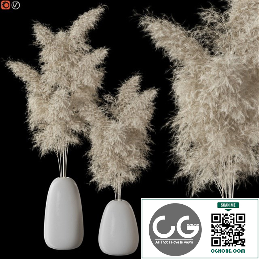 Decorative Pampas