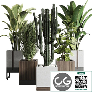 Plant box_Indoor outdoor plant 163 wooden and concrete dirt vase box pot palm cactus Collection