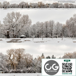 Panorama of the park and snow-covered trees. 45k