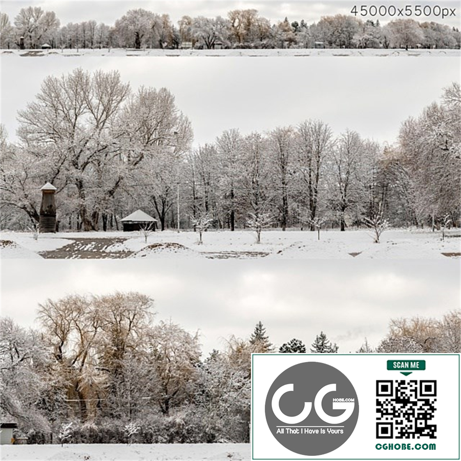 Panorama of the park and snow-covered trees. 45k