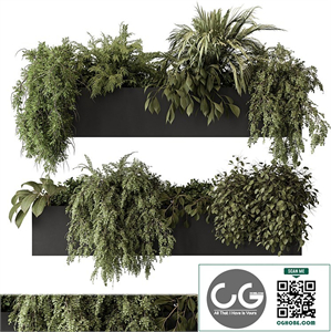 indoor Plant Set 297 - Hanging Plants