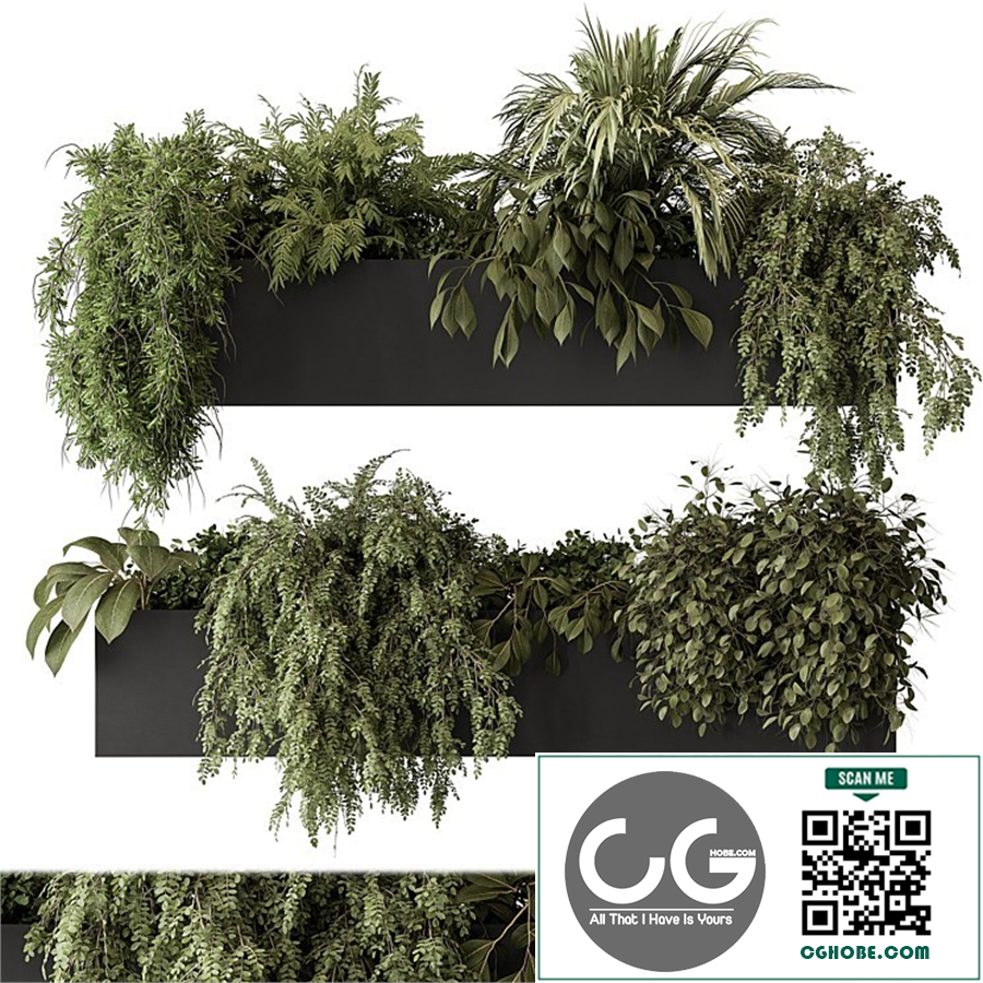 indoor Plant Set 297 - Hanging Plants
