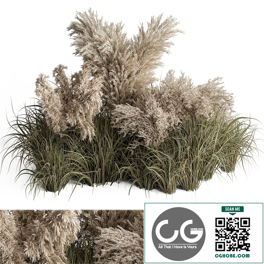 Mixed Pampas Plant Bush Set 95