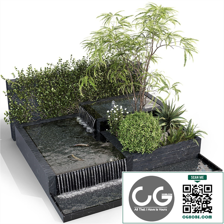 Water Ponds With Plants & fish