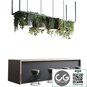 Coffee shop reception, Restaurant counter by hanging plant - 04