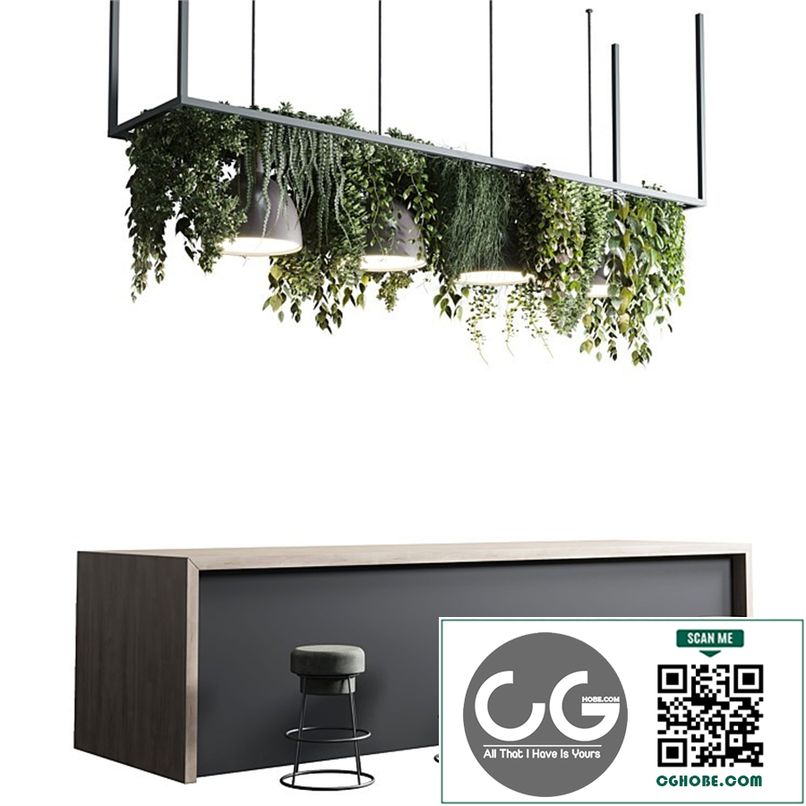 Coffee shop reception, Restaurant counter by hanging plant - 04