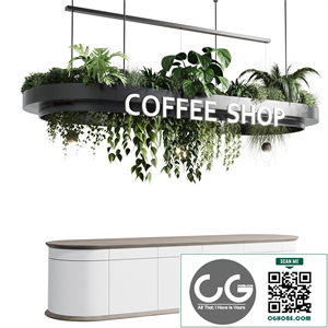 Coffee shop reception, Restaurant counter by hanging plant - 01