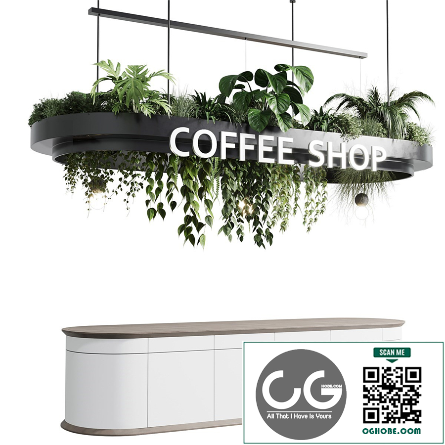 Coffee shop reception, Restaurant counter by hanging plant - 01