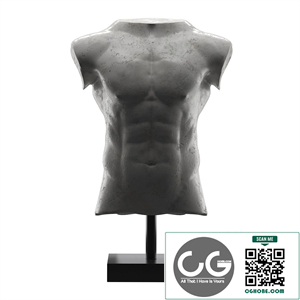 Marble Male Torso