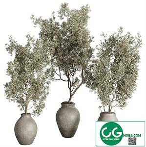 Tree Plant in a concrete vase - indoor plant set 537