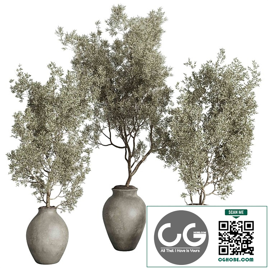 Tree Plant in a concrete vase - indoor plant set 537