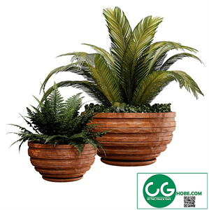 Outdoor plant01