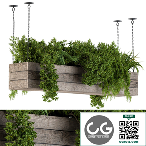 Hanging Plants in Wooden Box