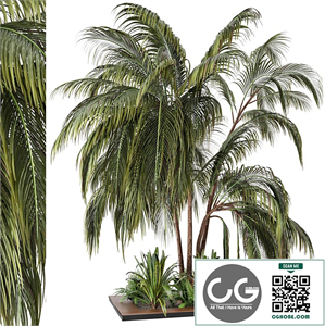 Outdoor Garden set bush and Tree - Garden Set 24