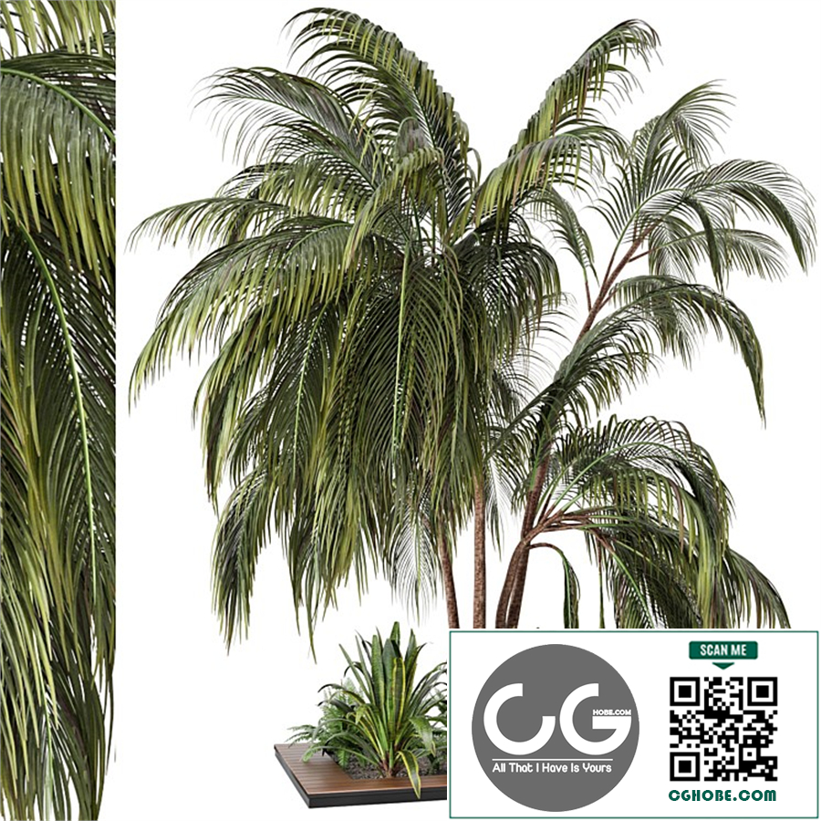 Outdoor Garden set bush and Tree - Garden Set 24