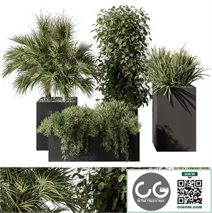 Outdoor Plant Set 402 - Plant Set in Plant Box