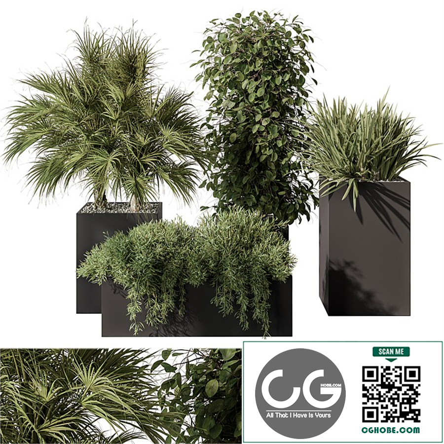 Outdoor Plant Set 402 - Plant Set in Plant Box