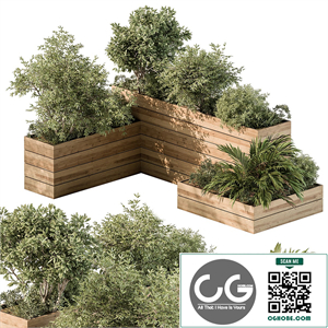 Plant Box - Outdoor Plants 487