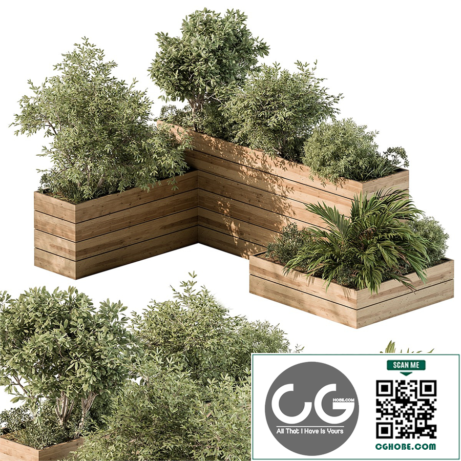Plant Box - Outdoor Plants 487