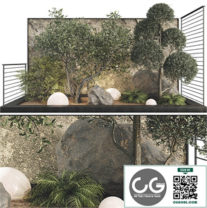 Plant Collection Set 36