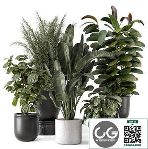 Indoor Plants in rusty Concrete Pot - Set 1265