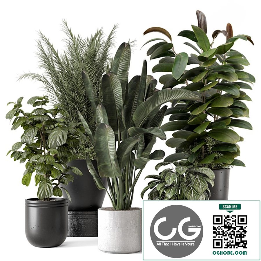 Indoor Plants in rusty Concrete Pot - Set 1265