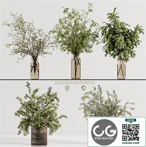 Collaction Plants Bouquet 24
