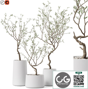 Plants collection 887
