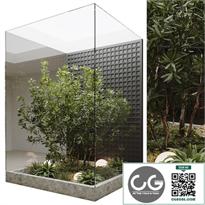 indoor plant set 60