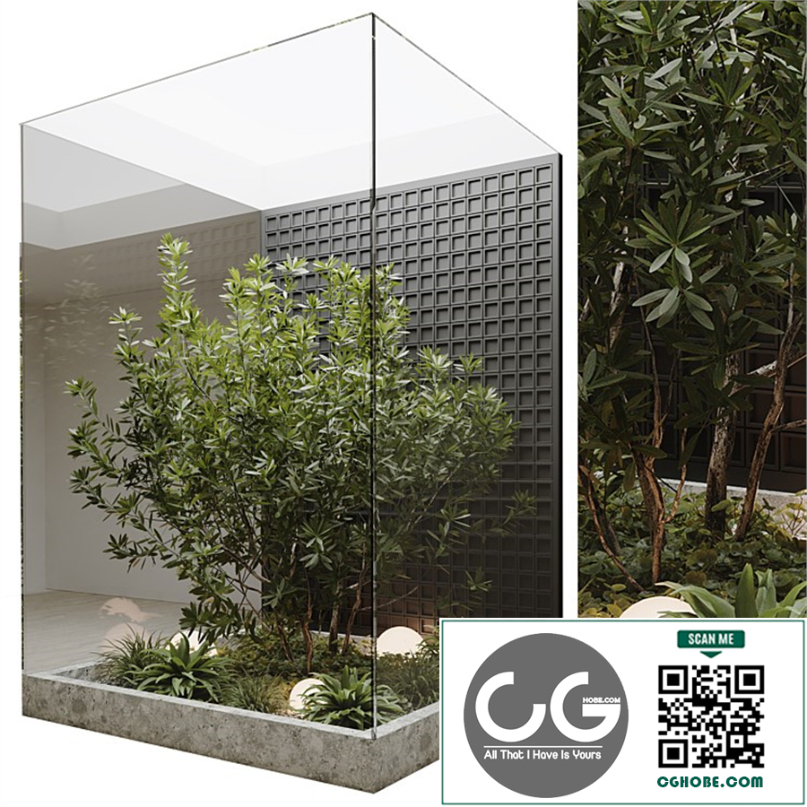 indoor plant set 60