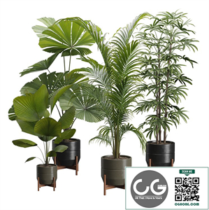 Indoor Plants Pack 49