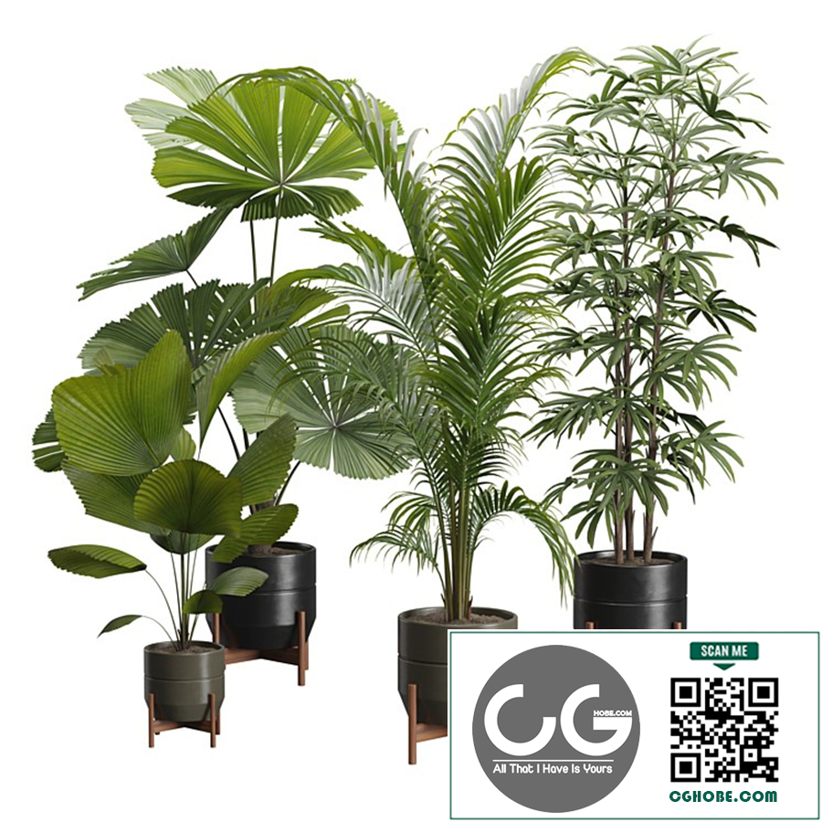Indoor Plants Pack 49