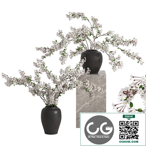 Vases with Branches White Cherry