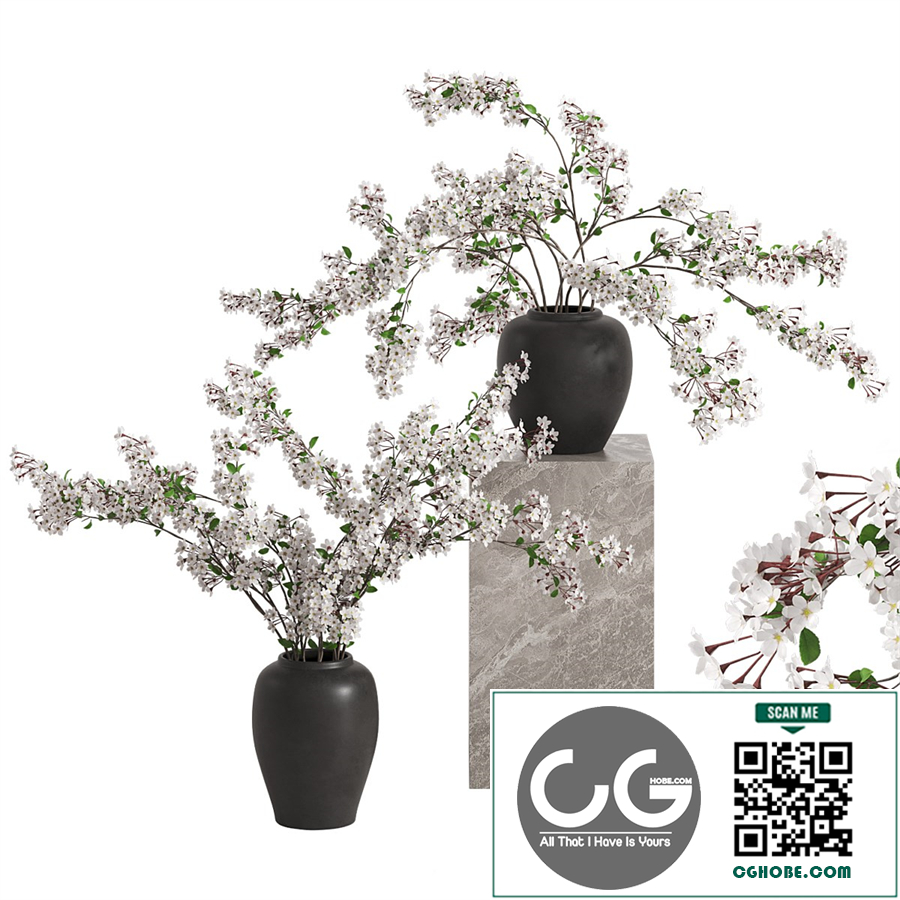 Vases with Branches White Cherry